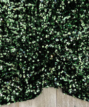Load image into Gallery viewer, Velvet sequin sage