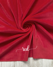 Load image into Gallery viewer, PLUSHY velvet