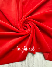 Load image into Gallery viewer, PLUSHY velvet
