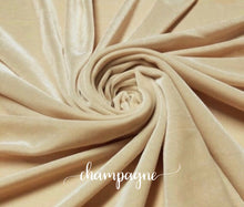 Load image into Gallery viewer, VELVET