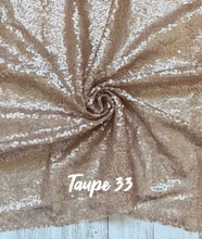 Load image into Gallery viewer, mesh sequins