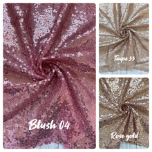 Load image into Gallery viewer, mesh sequins