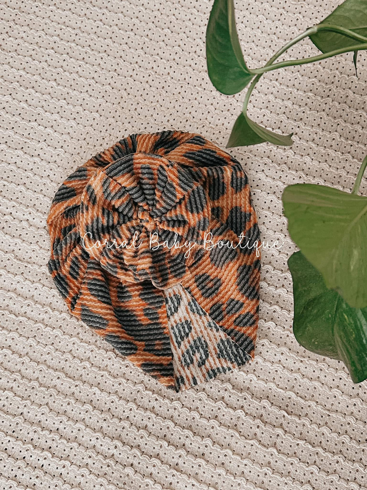 Leopard  waved