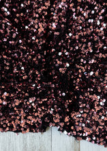 Load image into Gallery viewer, Velvet sequin ROSE
